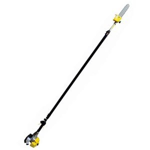 Pole Pruner Displacement: 27 cc Speed: 7000-8000 RPM Weight of the machine: 9 kg Engine: 2-Stroke, Air Cooled Fuel Used: Petrol Fuel Tank Capacity: 900 ml Fuel Consumption: 600 ml/hr