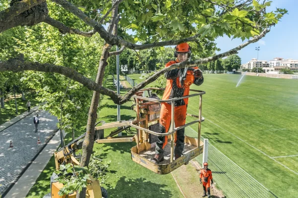 Mid-sized 35cc top-handle chainsaw for all-round pruning and clearing Mid-sized X-Torq® tree care saw. It´s a lightweight powerful chainsaw for pruning in parks as well as vineyards and fruit orchards. The low weight and well-balanced saw body makes it very easy to work with.