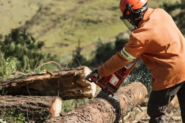 61 A reliable, rugged and powerful saw in 60 cc class. One of Husqvarna’s classic all-round saws for part-time users for applications that require high power, especially for felling and cutting tougher dimensions and using longer bars. Our LowVib® vibration damping system makes it easy to work with, even during longer work shifts.