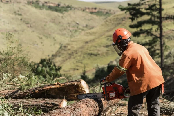 61 A reliable, rugged and powerful saw in 60 cc class. One of Husqvarna’s classic all-round saws for part-time users for applications that require high power, especially for felling and cutting tougher dimensions and using longer bars. Our LowVib® vibration damping system makes it easy to work with, even during longer work shifts.